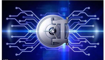 虛擬服務器 網(wǎng)絡與信息安全軟件開發(fā)的基礎